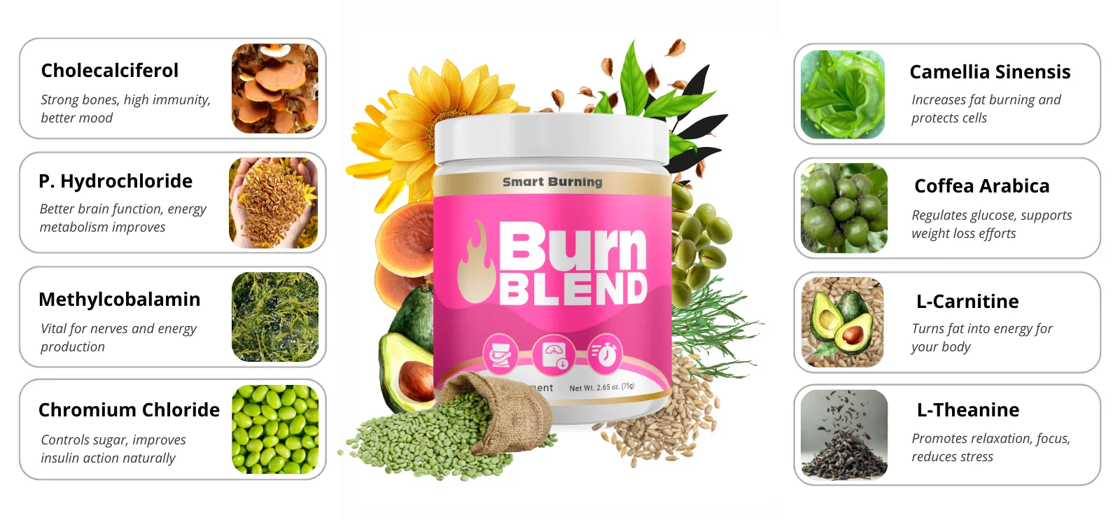 Burn Blend ingredient image